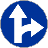 C-6 Nakaz jazdy prosto lub w prawo - znak drogowy nakazu